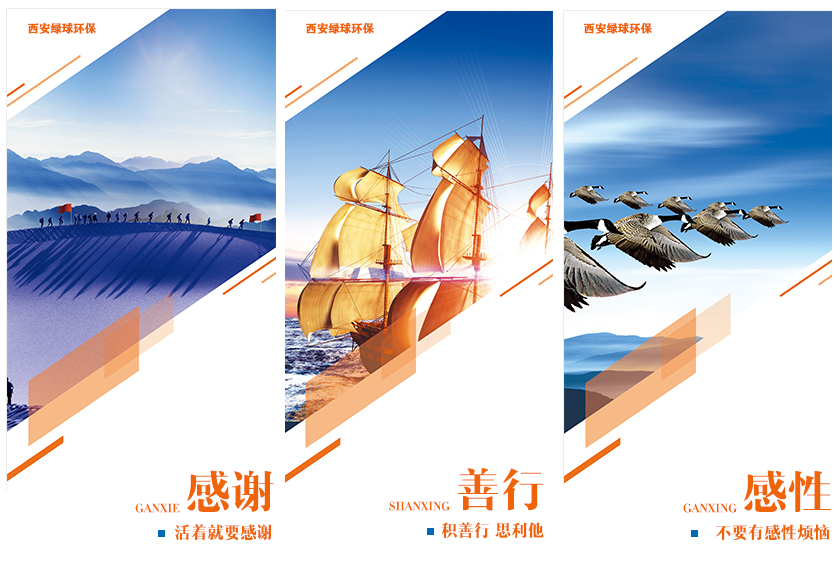 公司理念